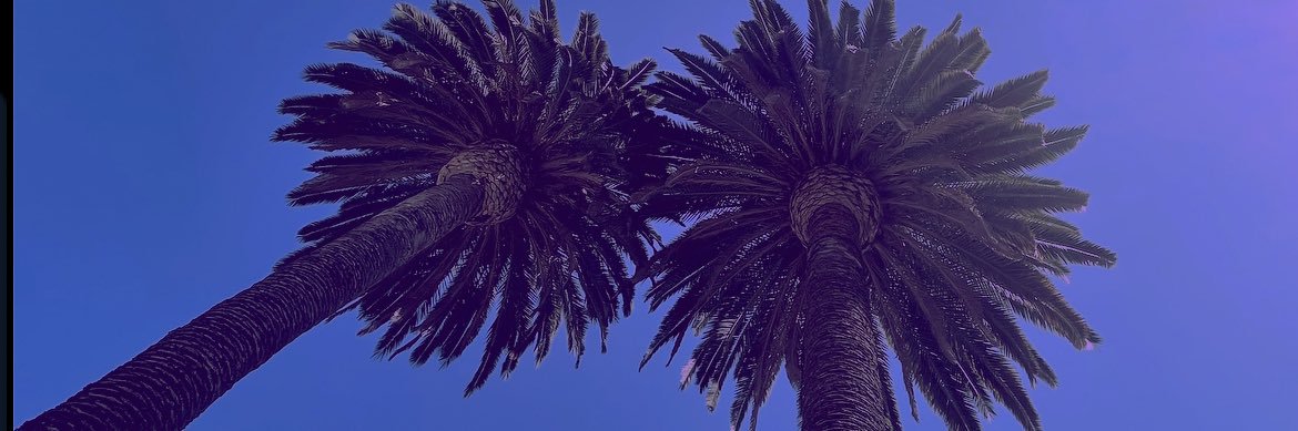 vfromtheblock's profile banner image