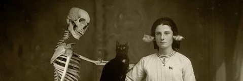 Kristen Steenbeeke banner