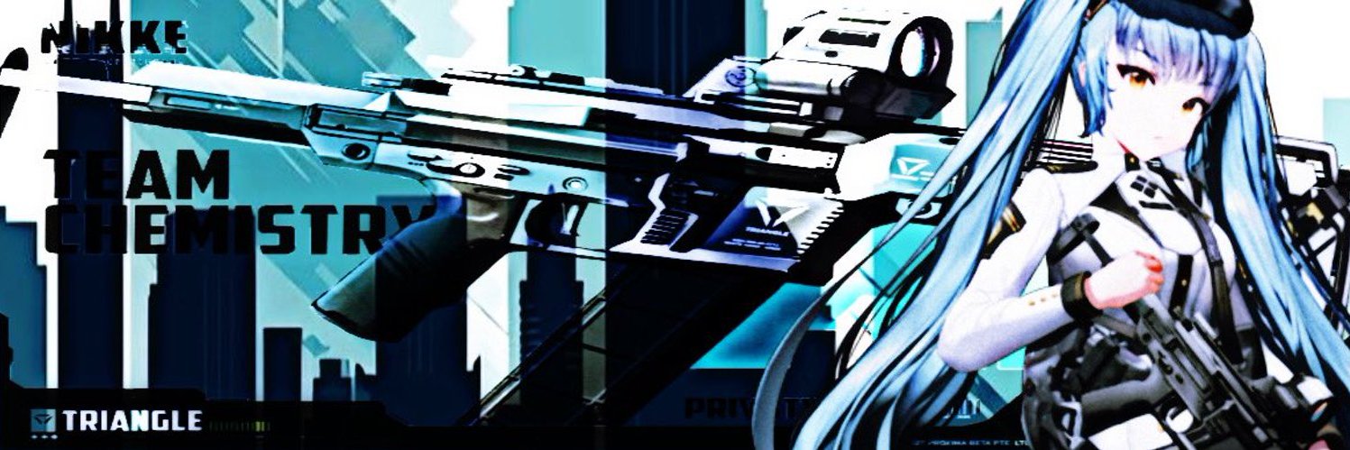 ャ ˖ ｢ 𝙋𝙧𝙞𝙫𝙖𝙩𝙮 ｣ banner