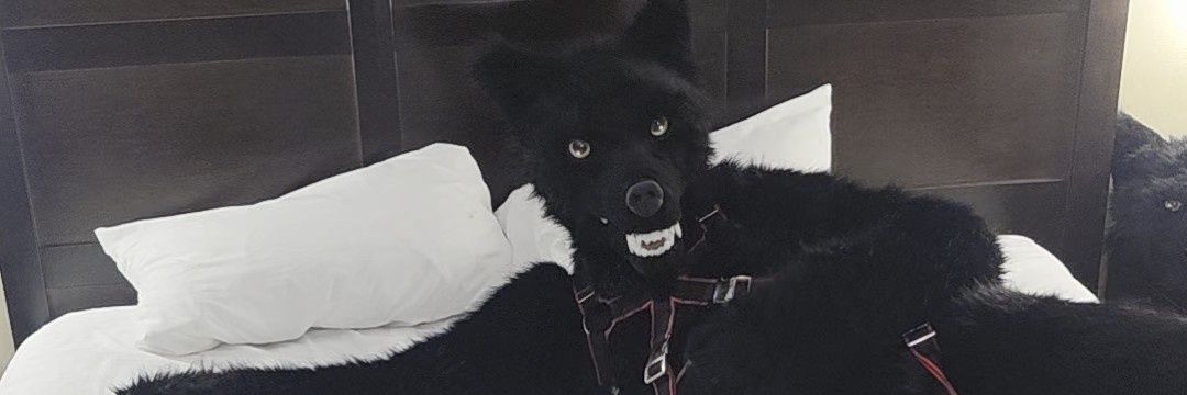 VukaWolfe's profile banner image