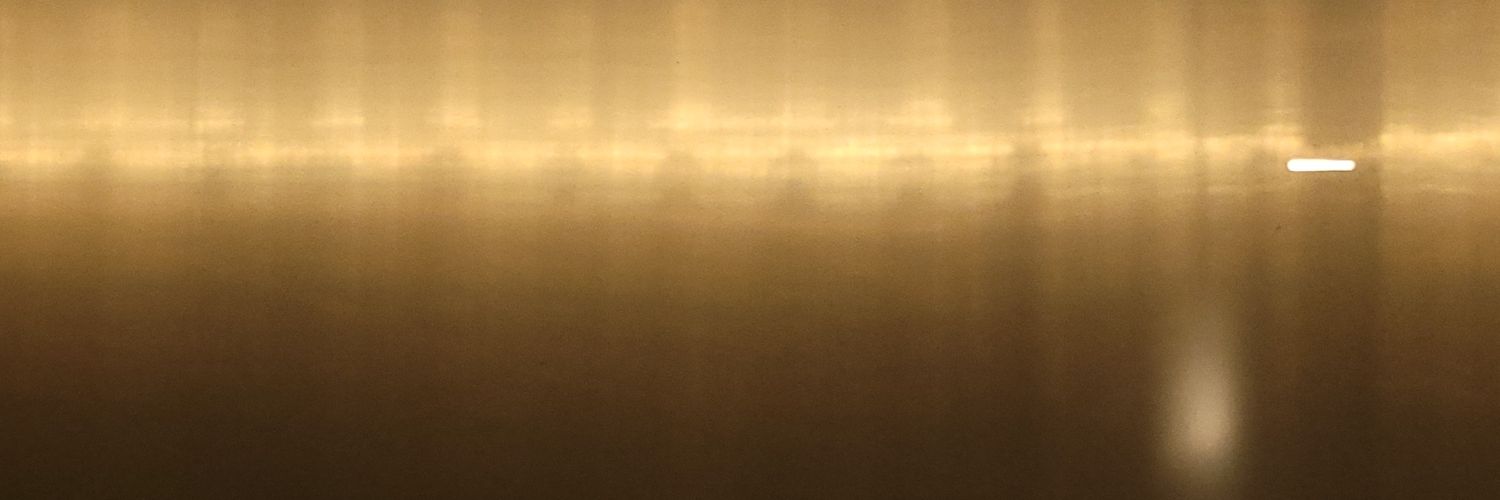 AndruEsMu's profile banner image