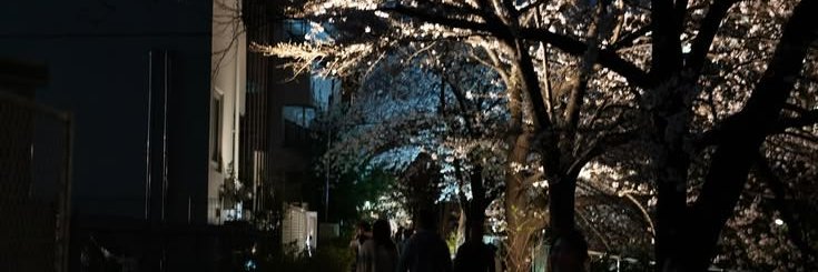 reiczu's profile banner image