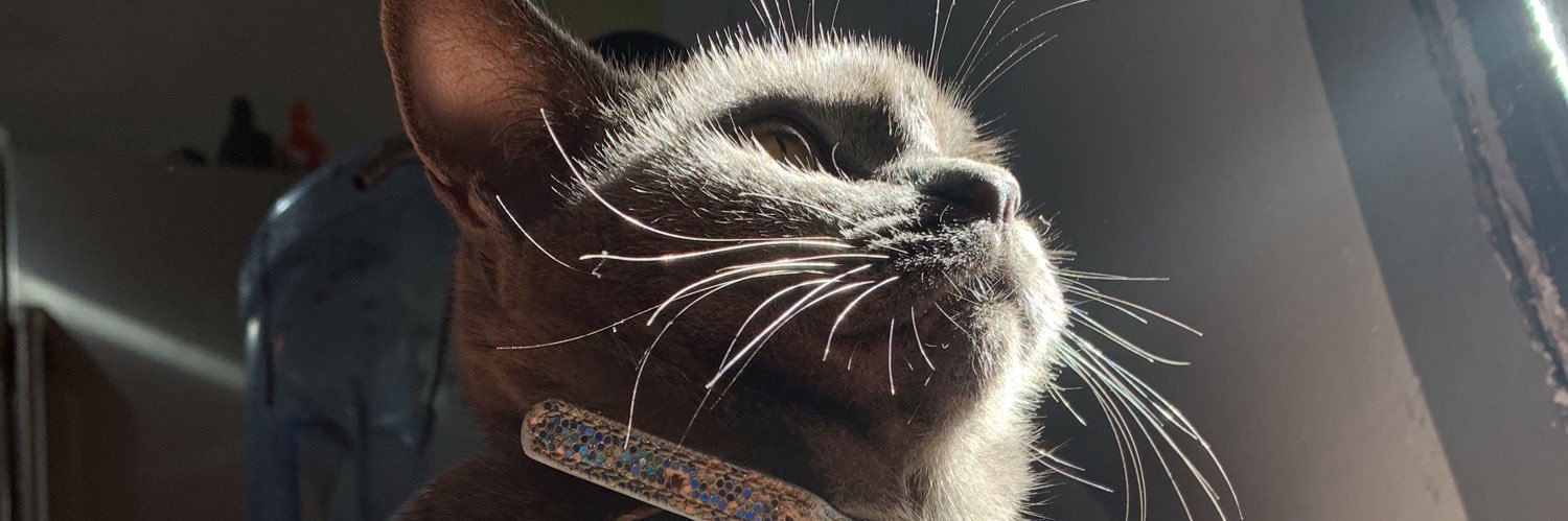 waldo_monster's profile banner image