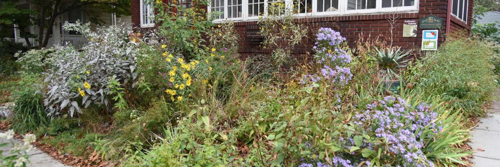 Flatbush 'Vax, Mask, Filter' Gardener 🌈 banner