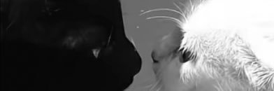 むー💜ྀི banner