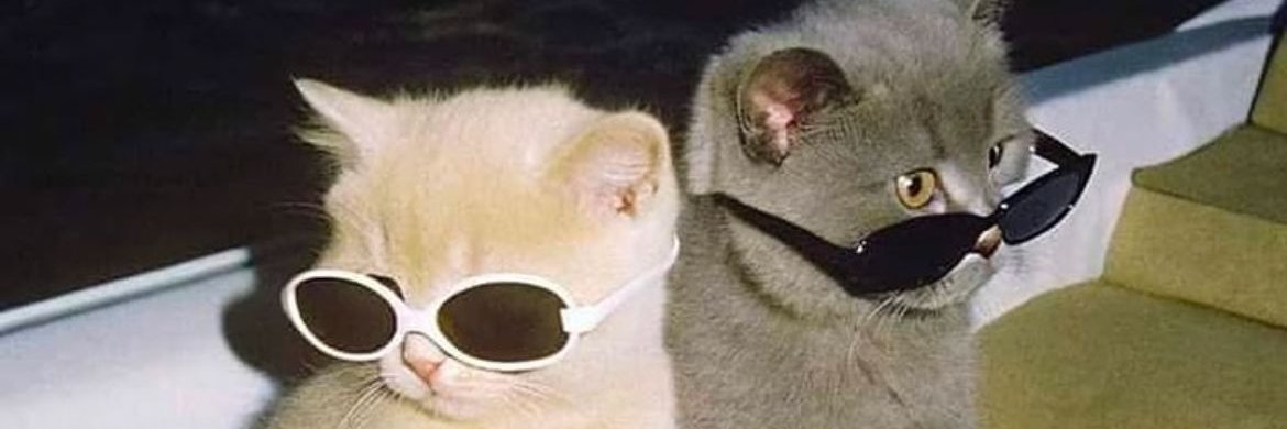 April Seven Walker banner