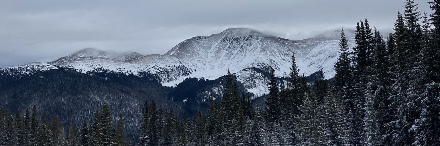 mj17890's profile banner image