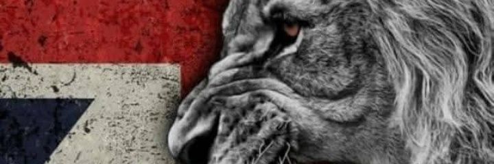 Tracy 🏴󠁧󠁢󠁥󠁮󠁧󠁿 🇮🇪 🇬🇧 ✝️ banner