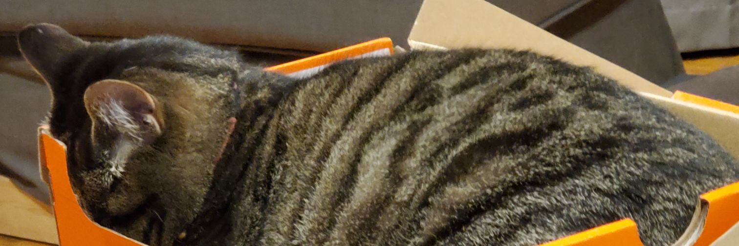 JuliaC117's profile banner image