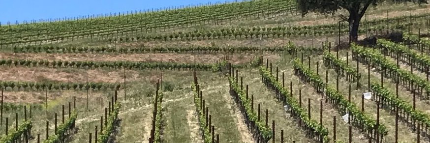 Brad Cummings banner