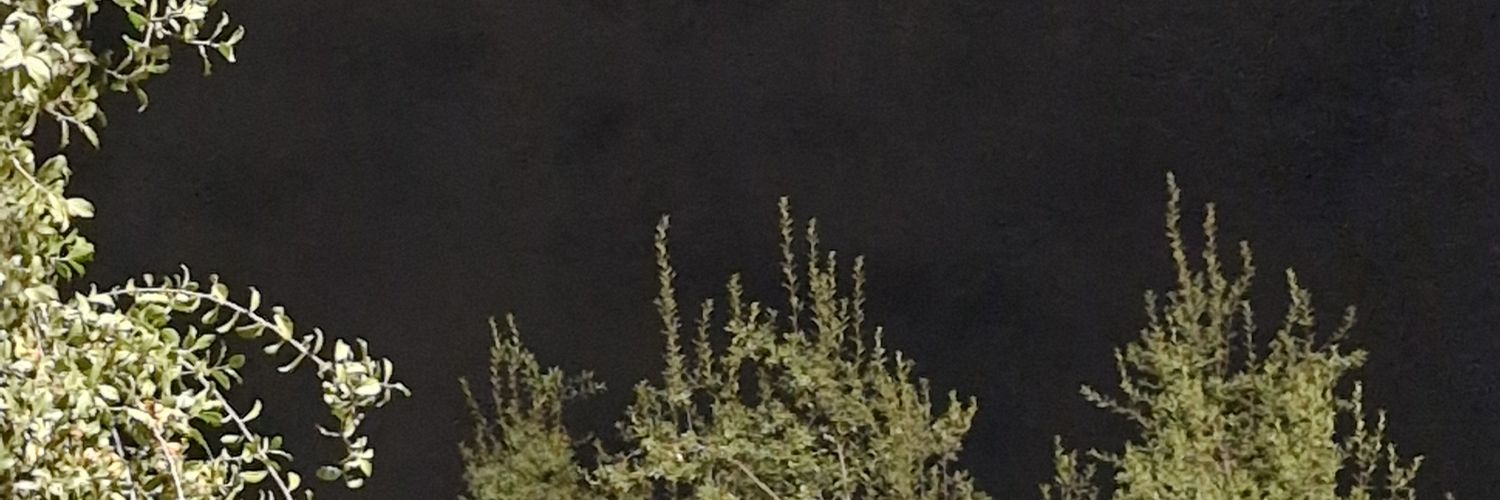 AntitodelaU𐙚 banner