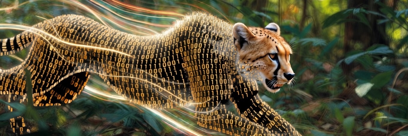 thejeffbinder's profile banner image