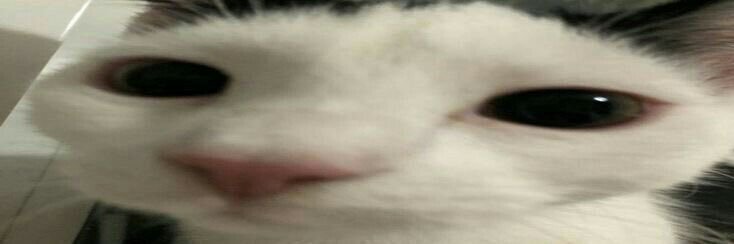 Jesus ⋆˚꩜｡ banner