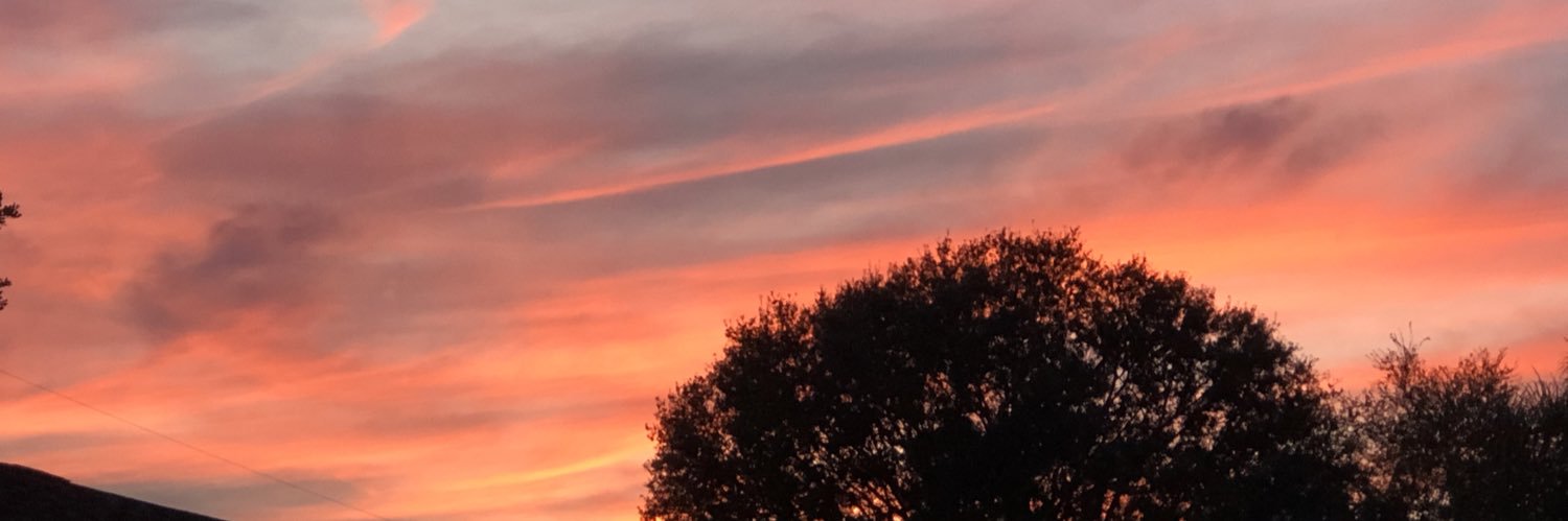 KevinJenki74453's profile banner image