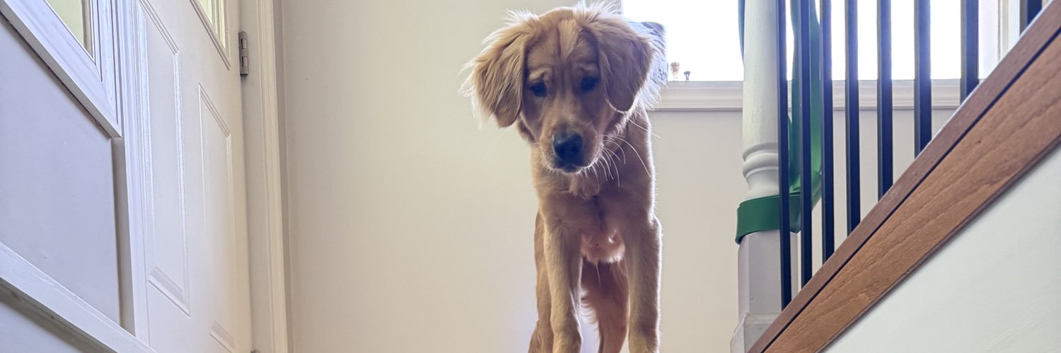 Chelsea Gilchrist banner