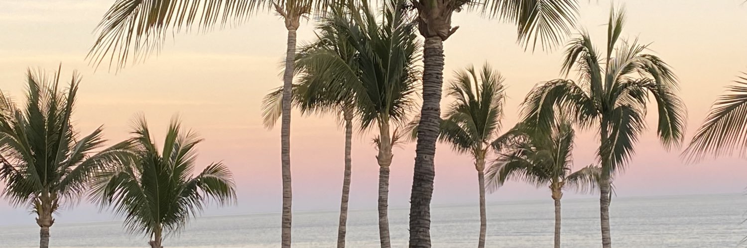 DSchuffenhauer's profile banner image