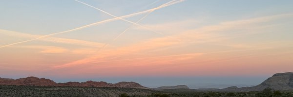 _shekki Profile Banner