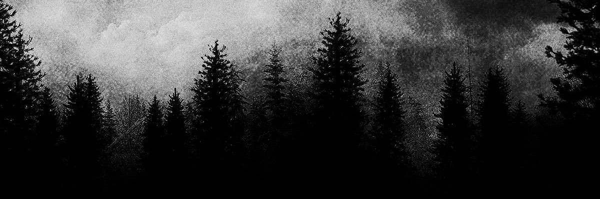 SIG's banner