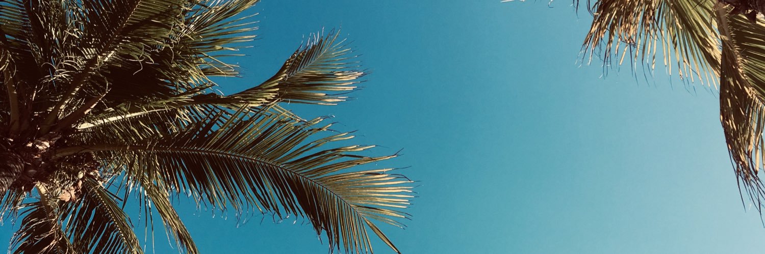 martudanna's profile banner image