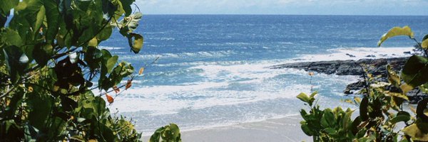Tumayooo Profile Banner