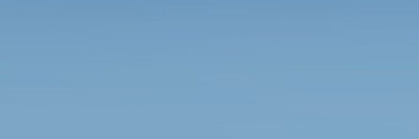 chiewrypie Profile Banner