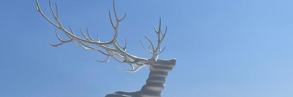 cheb0211 Profile Banner