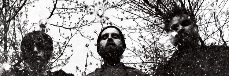 dead leaf echo banner