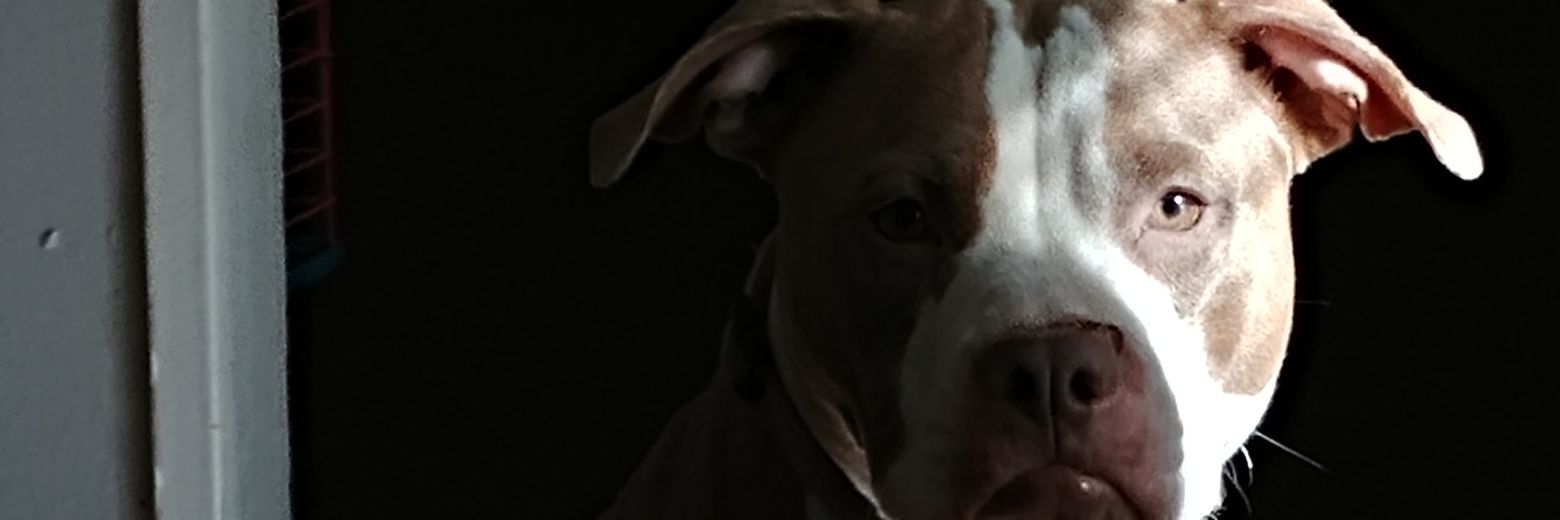 F_G_R_V's profile banner image