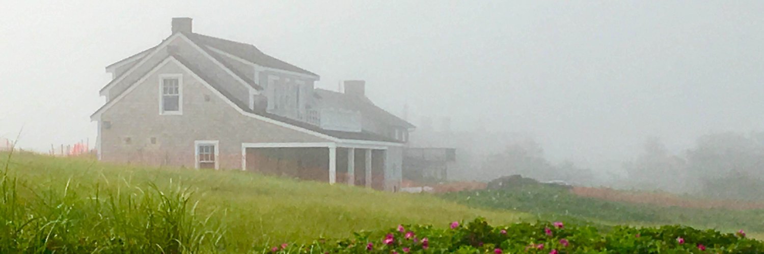 Michael Roney banner