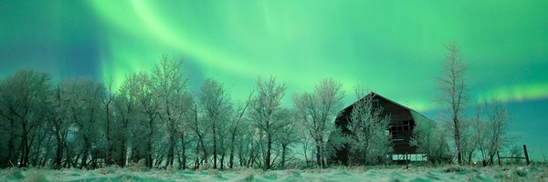 chantz_y Profile Banner