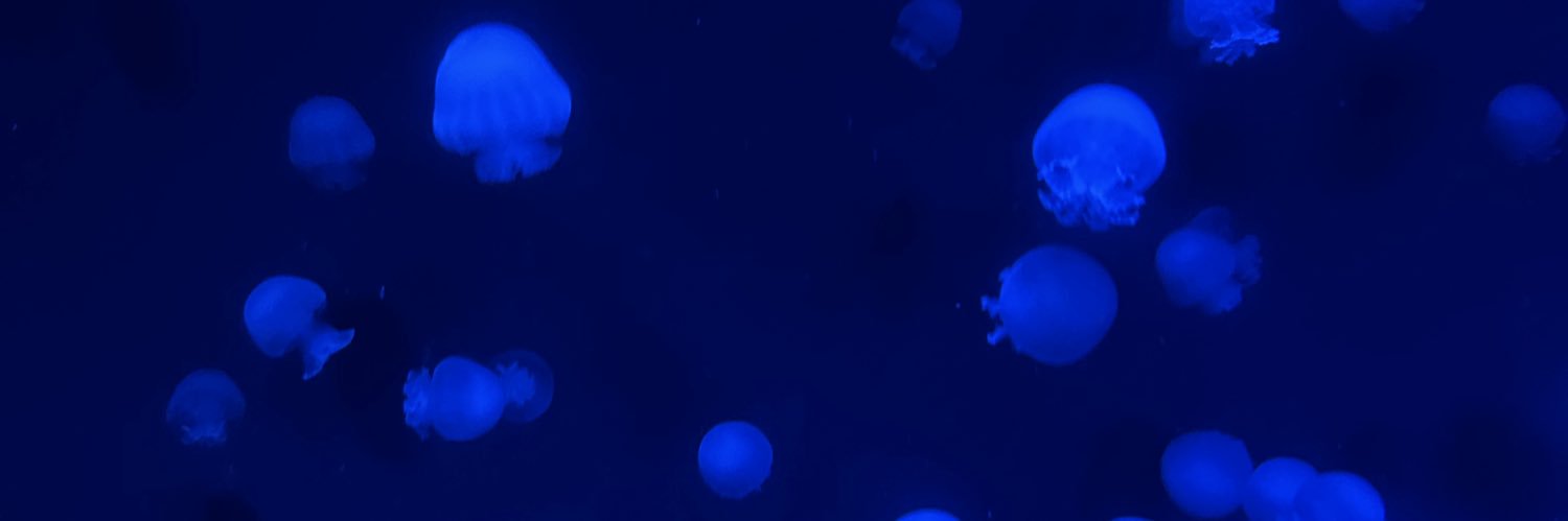 しのだ banner