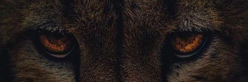 Fufo Villarreal banner