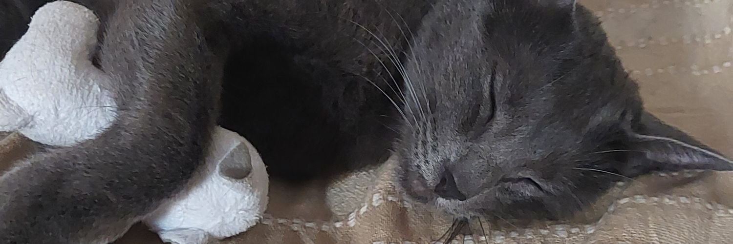 Lalokyy's profile banner image