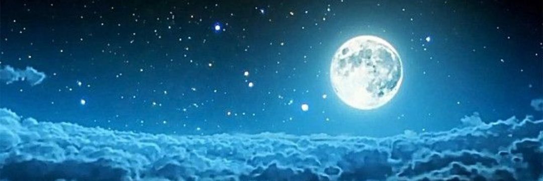 Mr Moonlight 🌛 banner
