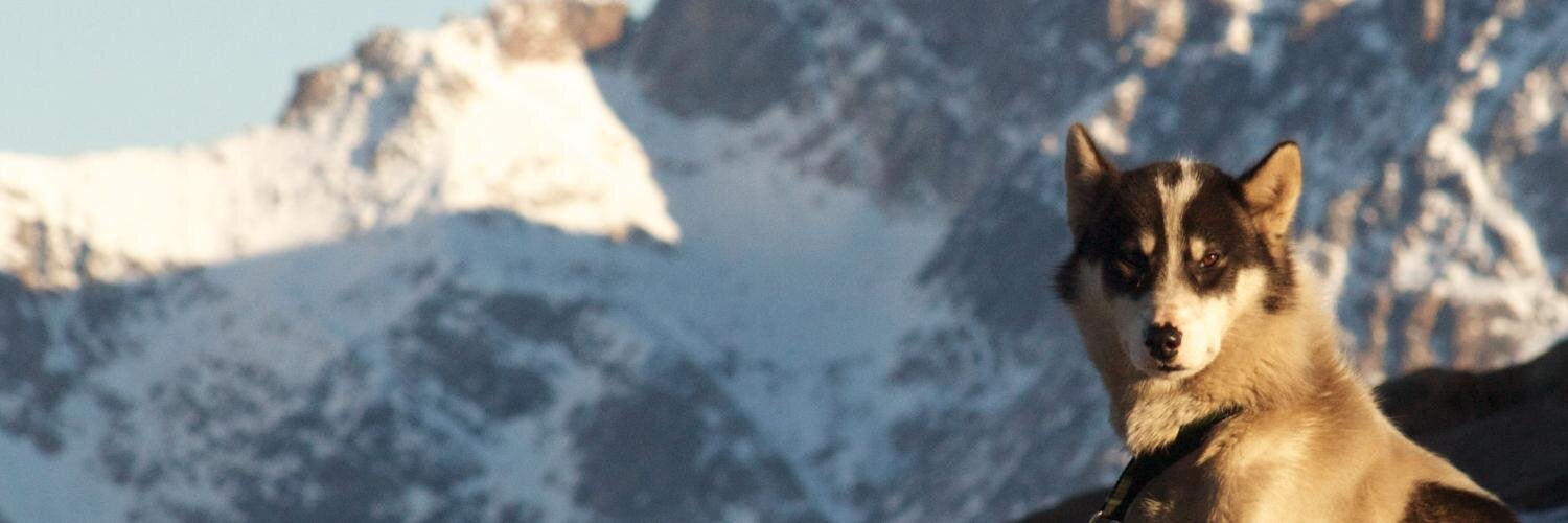 Hjortur Smarason banner