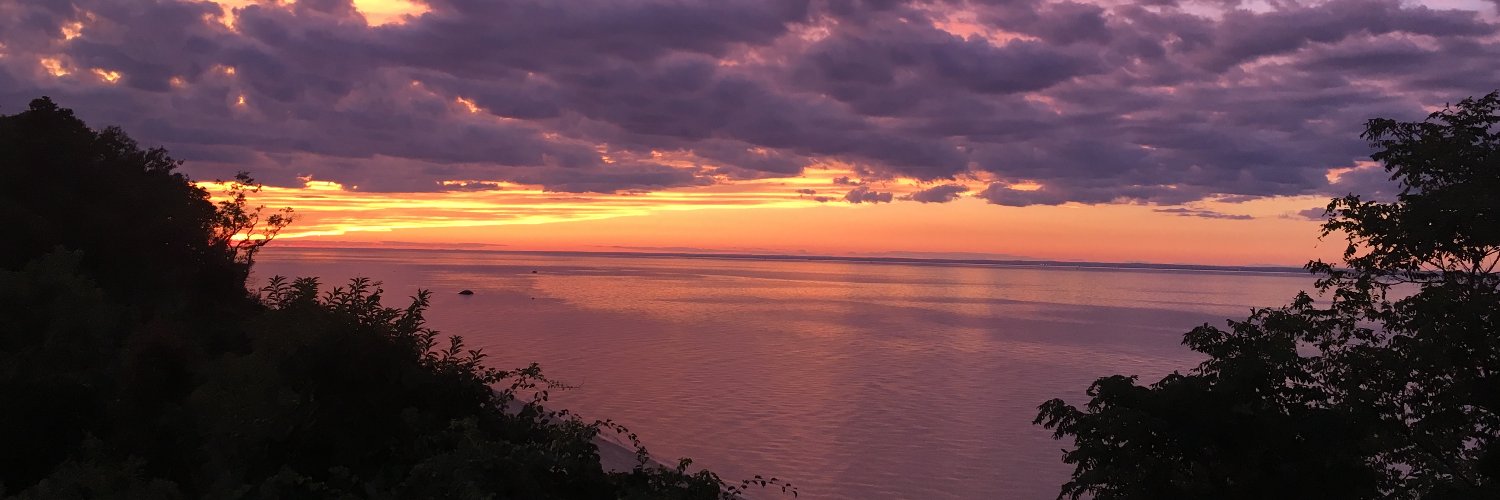Debra Ferrie banner