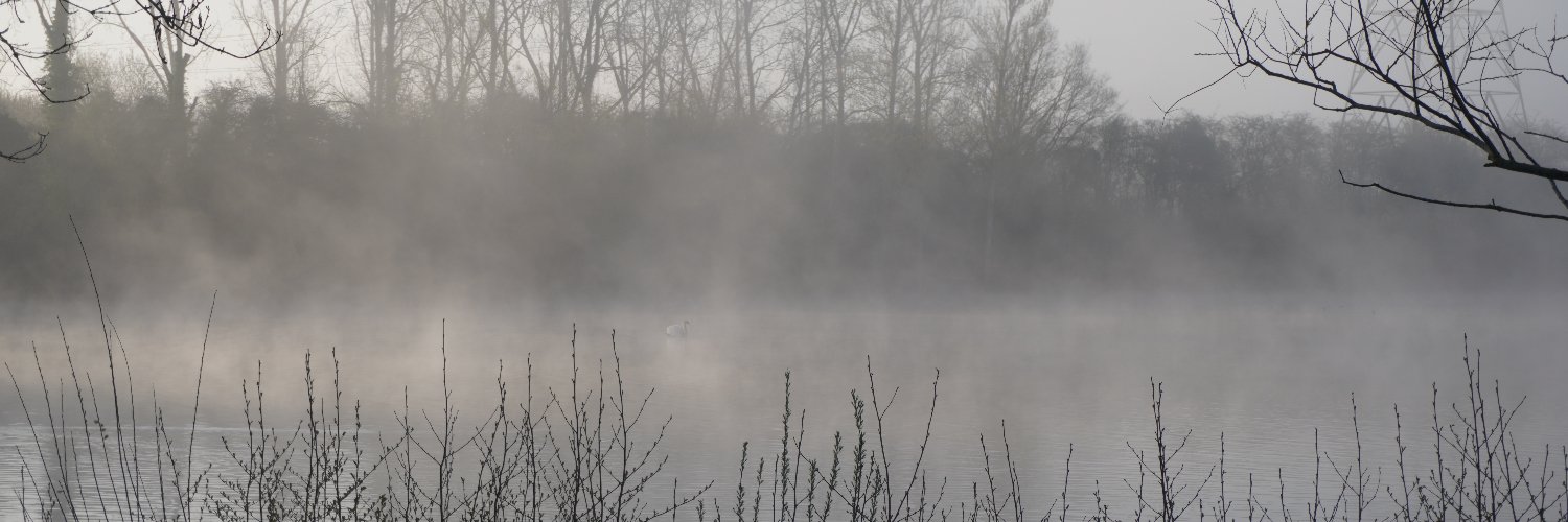 Pascal Grenewic banner