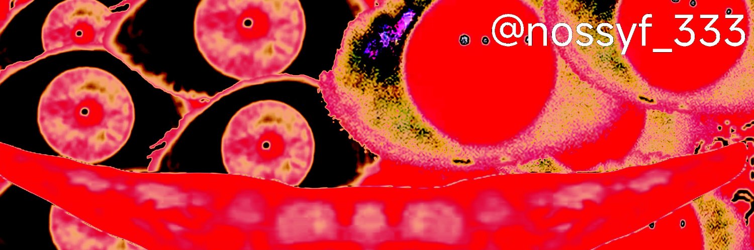 nossyf_333's profile banner image