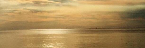 MrRoarke's profile banner image