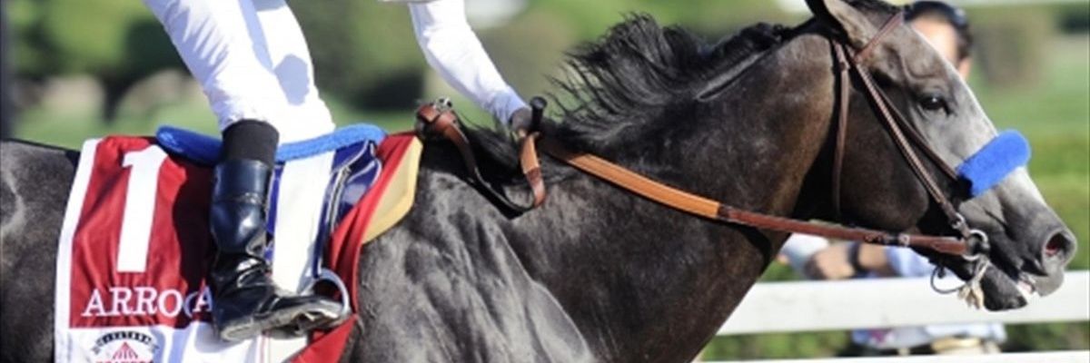 Yonathan (Gatojacker) 😼😼 banner