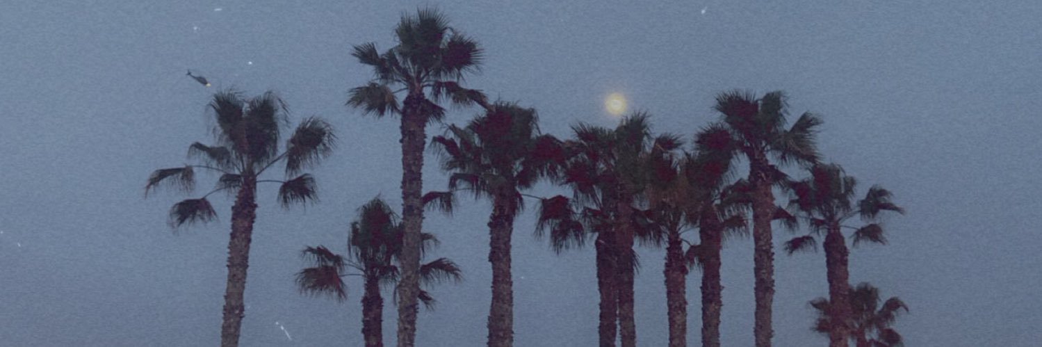 ArizonaFinest420XXX banner