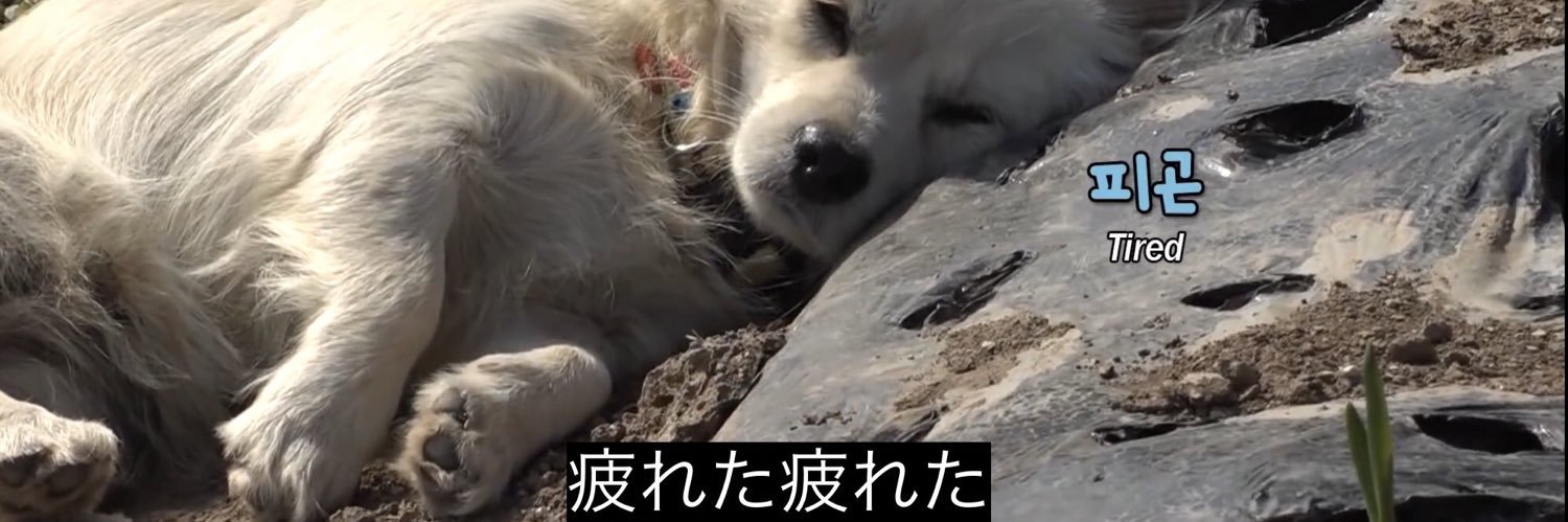 うちゃん banner