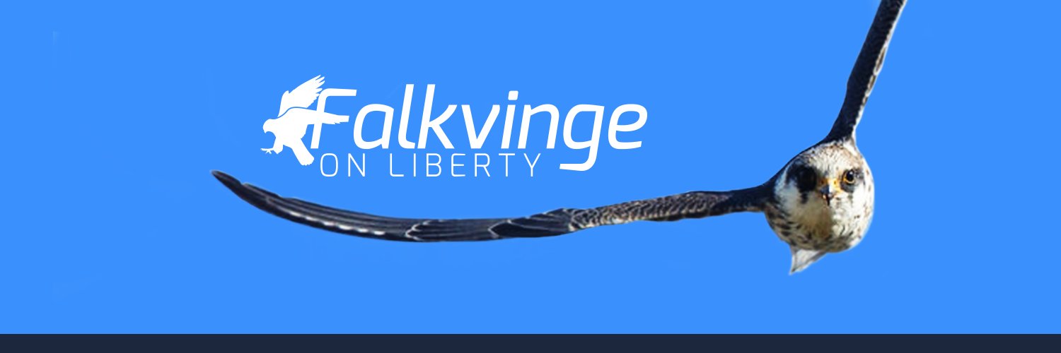 Rick Falkvinge 🌻 banner