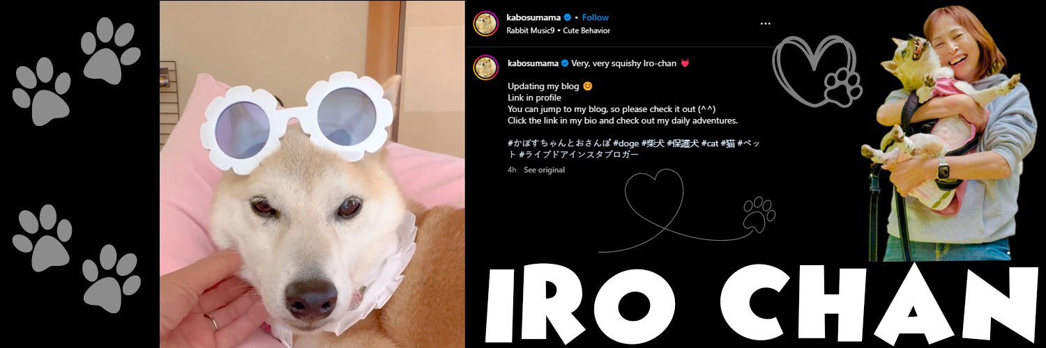 IroChan_ERC20's profile banner image