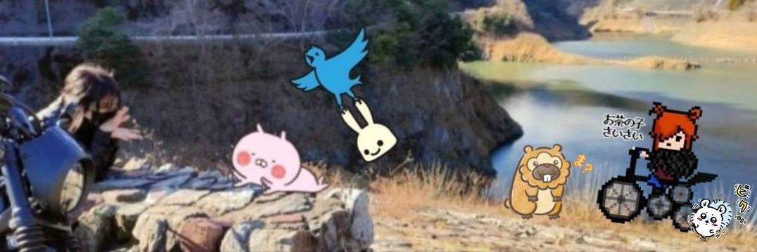 うさこ🐰 banner