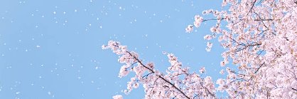 kmictee's profile banner image