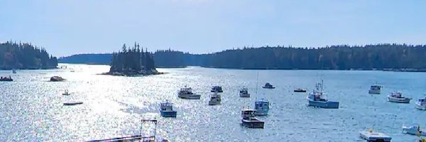 dartagnan61 Profile Banner