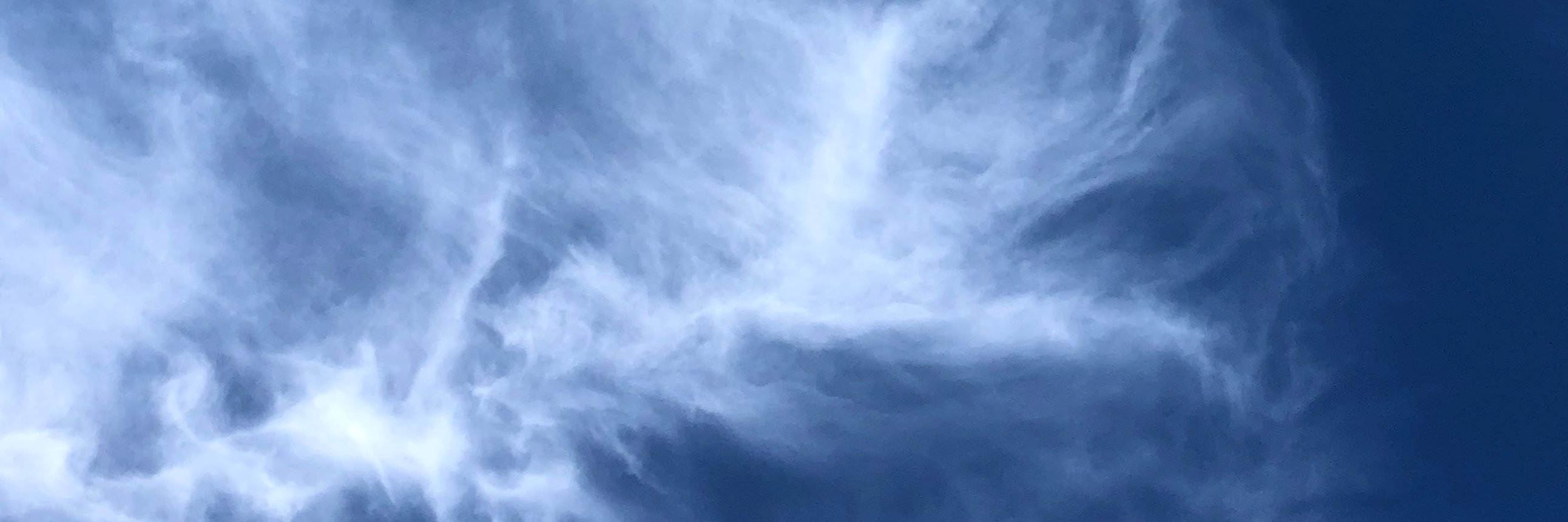 revelyn's profile banner image