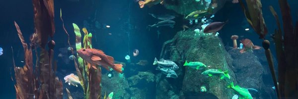 DawnWinery__ Profile Banner