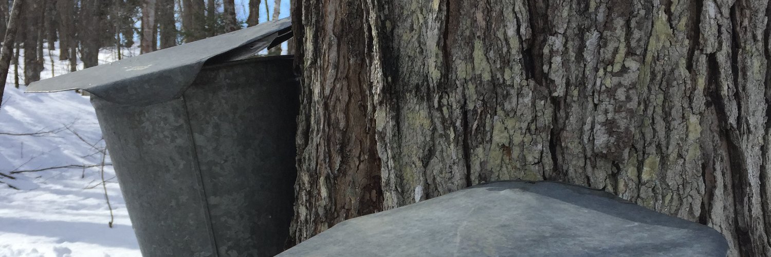 Michael Peller banner